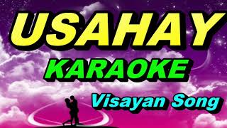 USAHAY KARAOKE  Visayan Song [upl. by Aikemat]