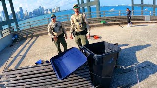 MANGROVE SNAPPER BRIDGE FISHING when the FWC GAME WARDEN shows up Key Biscayne [upl. by Nomahs]