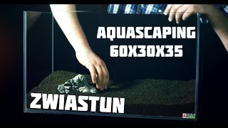 Aquascaping 60x30x35 Michał Adamek  AZOO amp Chihiros Sklep Zoologiczny Madagaskar TRAILER [upl. by Rhody]