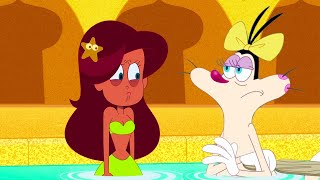 Oggy et les Cafards  Zig amp Sharko 💧 Journée piscine 💧 Épisodes complets en HD [upl. by Nadabas331]