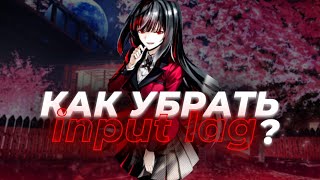 КАК УБРАТЬ INPUT LAG  ПОНИЗИТЬ DELAY  ПОДНЯТЬ ФПС [upl. by Acnaib224]