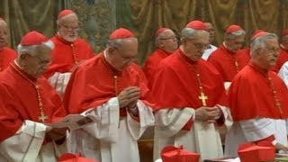 Electing a Pope Cardinal Describes Weight of Conclave Vote [upl. by Inalaeham815]