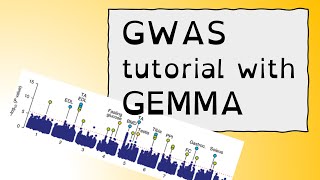 GWAS tutorial with GEMMA [upl. by Orfurd]