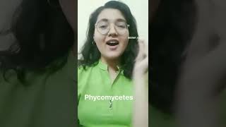 Phycomycetes 💚botany mnemonic neet tricks neetpreparation [upl. by Yrrehc]