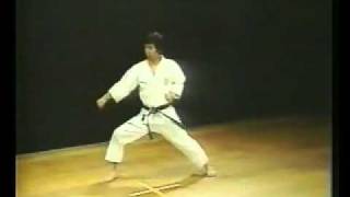 كاراتيه كاتا هيان شودان  Heian Shodan  Shotokan Karate [upl. by Maleen]