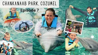 Chankanaab Adventure Park  Cozumel  Dolphin Swim Review amp Sea Lion Show [upl. by Rodriguez607]