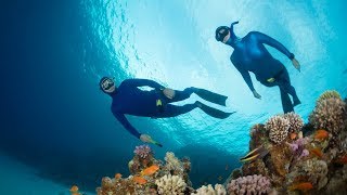 Could BreathHold Diving after Scuba Cause Decompression Sickness [upl. by Waki634]