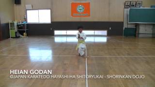 Heian Godan 2  Japan Karatedo Hayashiha Shitoryukai [upl. by Noswal693]