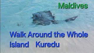 🏝 Walking around kuredu maldives 🌴 [upl. by Livvyy420]