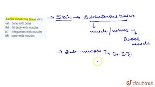 Areolar connective tissue joins [upl. by Brandi]