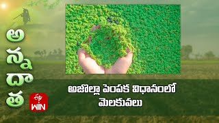 Azolla cultivation process  ETV [upl. by Noyahs]