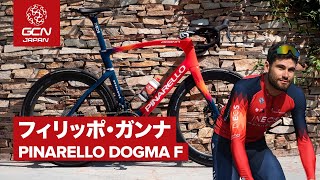 プロバイク紹介│フィリッポ・ガンナのPINARELLO DOGMA F ピナレロ ドグマ F 2023 [upl. by Darius]