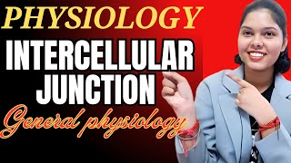 intercellular junctions  general Physiology  important topics of general Physiology physiology [upl. by Eilyk]