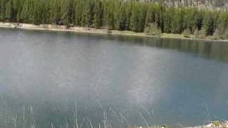 Guy Falls Off Cliff MUST WATCH [upl. by Heber906]