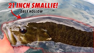 Chasing After Big Smallmouth With Big Lures Dale Hollow [upl. by Fachan563]