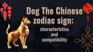 2023 Chinese Zodiac  All 12 Animal Signs Forecast [upl. by Laen]