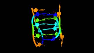 imotif in the high resolution crystal structure of the dCCCT tetramer [upl. by Dilaw]