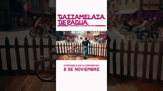 Gattamelata de Padua  8 de noviembre shorts canciones musicaindie [upl. by Cristobal]