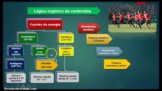 Planificación en fútbol Microciclo autoestructurado [upl. by Sykleb]