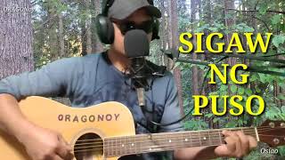 SIGAW NG PUSO  Acoustic Cover [upl. by Notniw558]