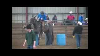 Ray Woodside  Extreme Cowboy Race  Washington State Horse Expo 2013 [upl. by Ehtyaf]