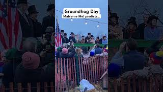 Malverne Mel Groundhog Day prediction [upl. by Einahpts168]