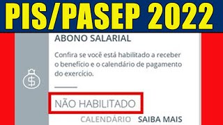 PISPASEP 2022 NÃO HABILITADO O QUE FAZER PARA RECEBER O ABONO SALARIAL 2022 COMO CONSULTAR O PIS [upl. by Adlai]