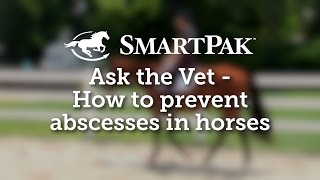 Ask the Vet  How to prevent abscesses in horses [upl. by Obmar]