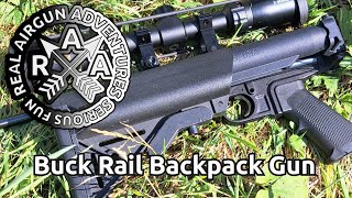 Crosman 2250 Buck Rail Review  Why Its The Ultimate Backpacker [upl. by Euqinomahs]