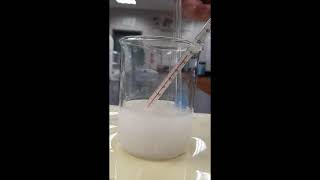 Sodium hydroxide dissolving in water [upl. by Asiak]