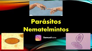 HELMINTOS 🐛 NEMATELMINTOS ✅ PARASITOLOGIA [upl. by Yadahs]