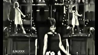 DEE DEE WARWICK  I WANT TO BE WITH YOU SHIVAREE VIDEO FOOTAGE [upl. by Jerol]