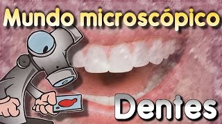 Mundo microscópico  Dentes [upl. by Iene]