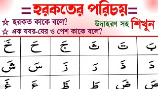 হরকতের পরিচয় হরকত কাকে বলে উদাহরণ সহ শিখুন Harkater Porisy Harkat Kake Bole। Quran Sikka Tv [upl. by Ultima]