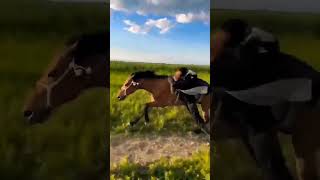 Next Level Horse Riding shorts horseriding horse amazing [upl. by Jorey]