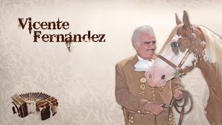 Vicente Fernández  Mano a Mano [upl. by Berta]