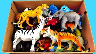 Lot of Wild Animals for Kids with Real Safari Animal Videos [upl. by Muns]