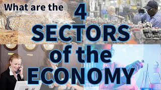 The 4 Sectors of the Economy  Think Econ [upl. by Silin]