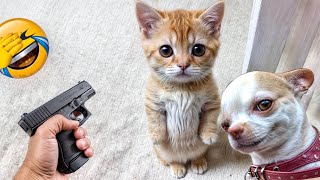 The Funniest Dogs and Cats Videos 2024 To Crack You Up All Long Day 2 [upl. by Amandi]