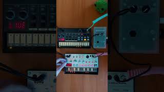 Ambient 02  Korg Volcas  Pisound synth dawless [upl. by Sivrahc293]