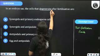 In an embryo sac the cells that degenerate after fertilisation are [upl. by Vevay]