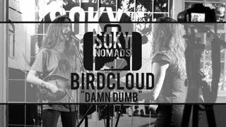 SOKY Nomads  Birdcloud  Damn Dumb [upl. by Mikol755]