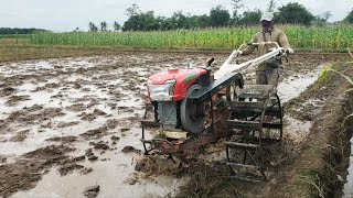 Traktor Quick G 3000 Zeva MelibasBekas Tanaman Padi Dengan Kecepatan Sangan Tinggi [upl. by Tarra]