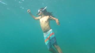 Snorkel in Puerto Rico [upl. by Serge]