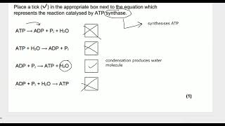 ATP Questions A  Level Biology [upl. by Faustus961]