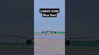 Cargo kingBlue dart airlines [upl. by Nahem495]