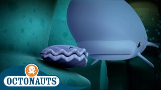 Octonauts  🐳 A Timid Sperm Whale Faces Its Fear 👻  🎃 Halloween  Season 2  Best Bits [upl. by Ahon]