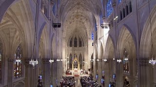 Restoring St Patricks Cathedral [upl. by Drud90]