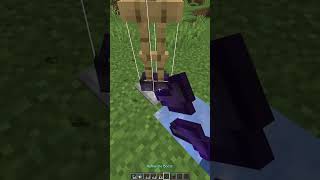 Minecraft fast teleport tutorial [upl. by Yrtsed953]