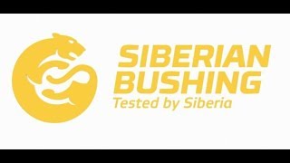 Siberian Bushing videopresentation of the company [upl. by Eicyaj]